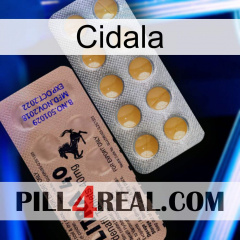 Cidala 41